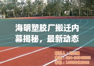 展翅欲飞 第2页