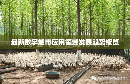 气宇轩昂 第2页