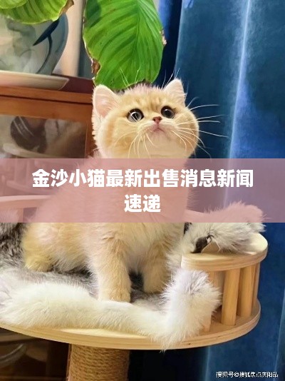 沉鱼落雁 第2页