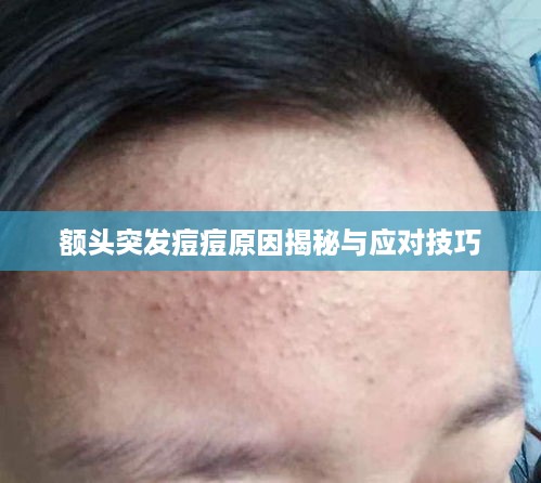 移罇就教 第2页