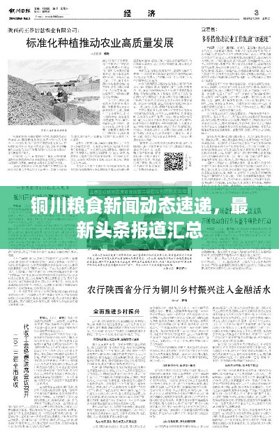 guizaizhixin 第2页