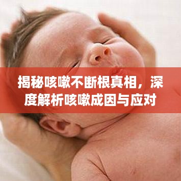 日就月将 第2页