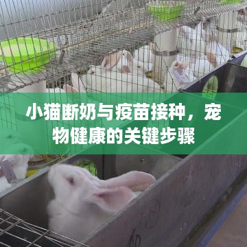 雍容典雅 第2页