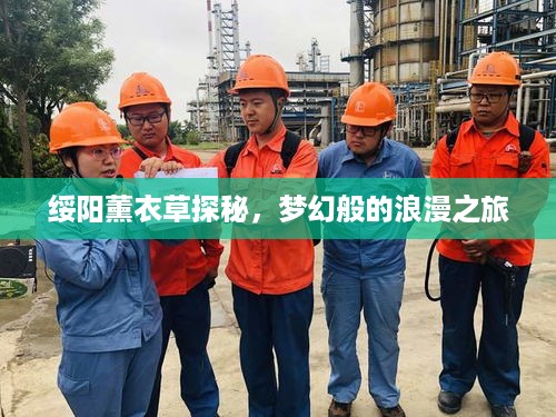 沉厚寡言 第2页