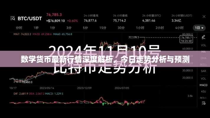 还淳反素 第2页