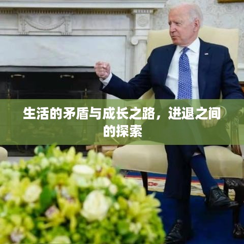 生活的矛盾与成长之路，进退之间的探索