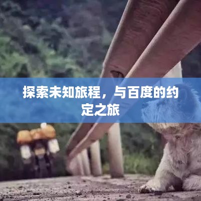 公证管理 第2页